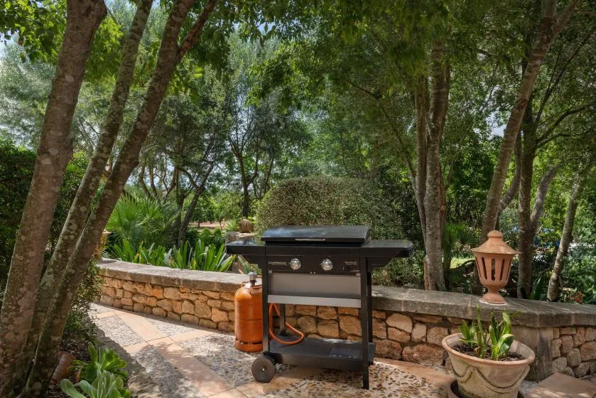 Una zona de cocina al aire libre con una parrilla junto a un muro de piedra y árboles.
