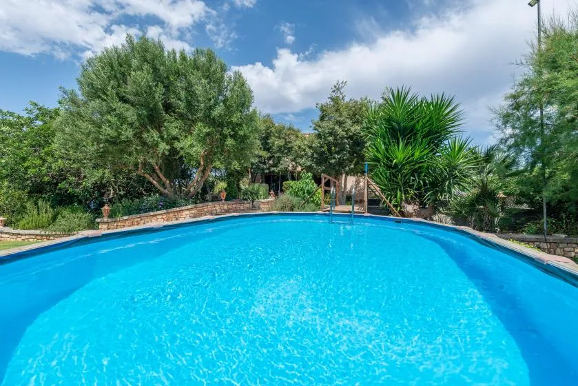 Una piscina azul brillante está rodeada de árboles frondosos y plantas.
