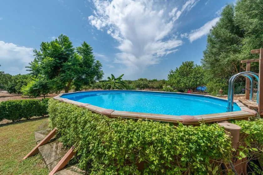An outdoor swimming pool sits among leafy hedges and trees beneath a blue sky.
