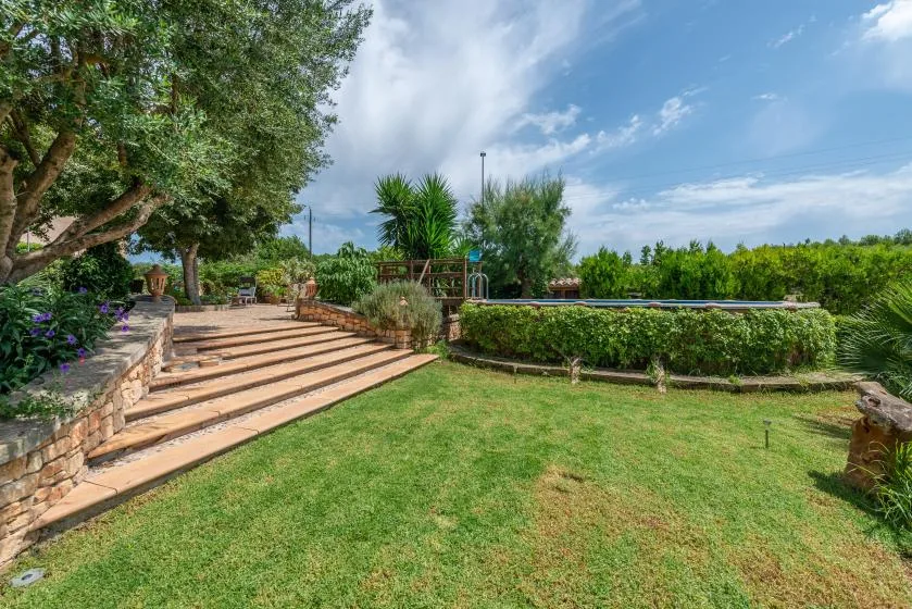 A landscaped garden has broad steps beside a low hedge and lawn.