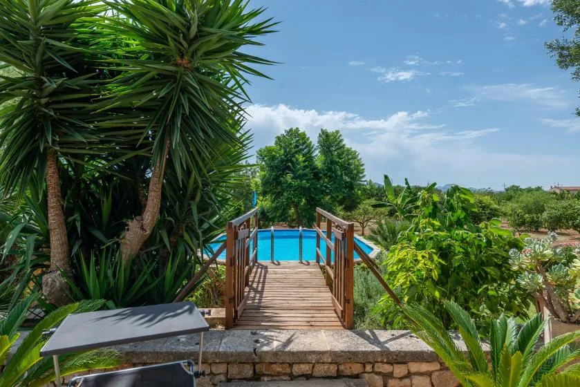 Un sendero de madera atraviesa la vegetación frondosa hasta una piscina azul.