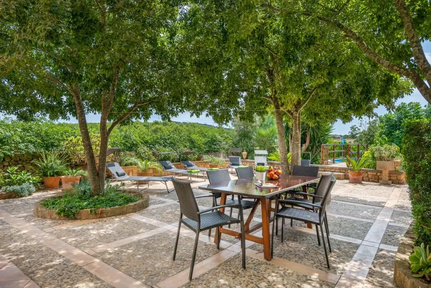 Zona de comedor al aire libre bajo árboles frondosos, con una mesa y asientos alrededor.