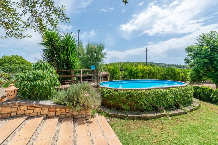 Un patio ajardinado da a una pequeña piscina rodeada de vegetación.