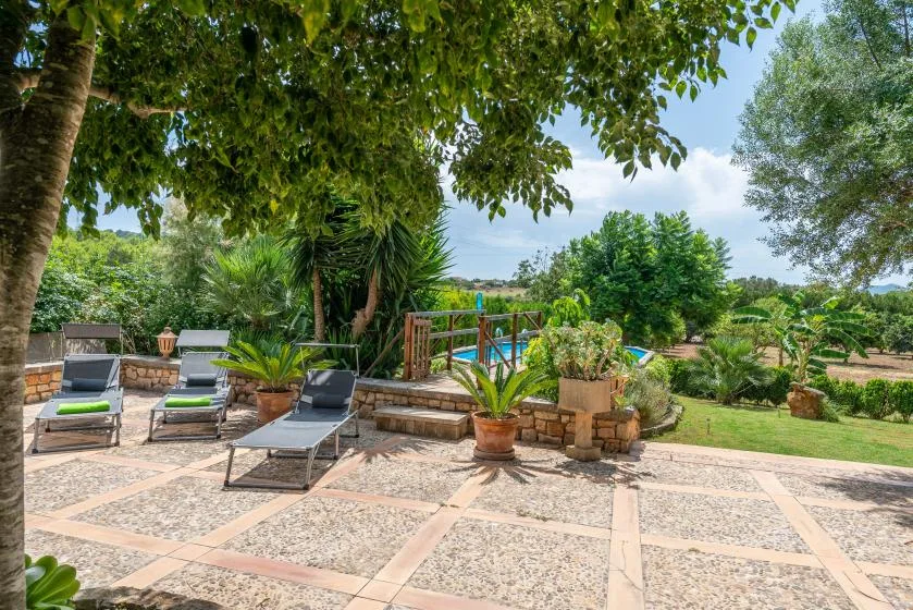 Un patio con asientos de descanso, plantas en macetas y árboles frondosos.
