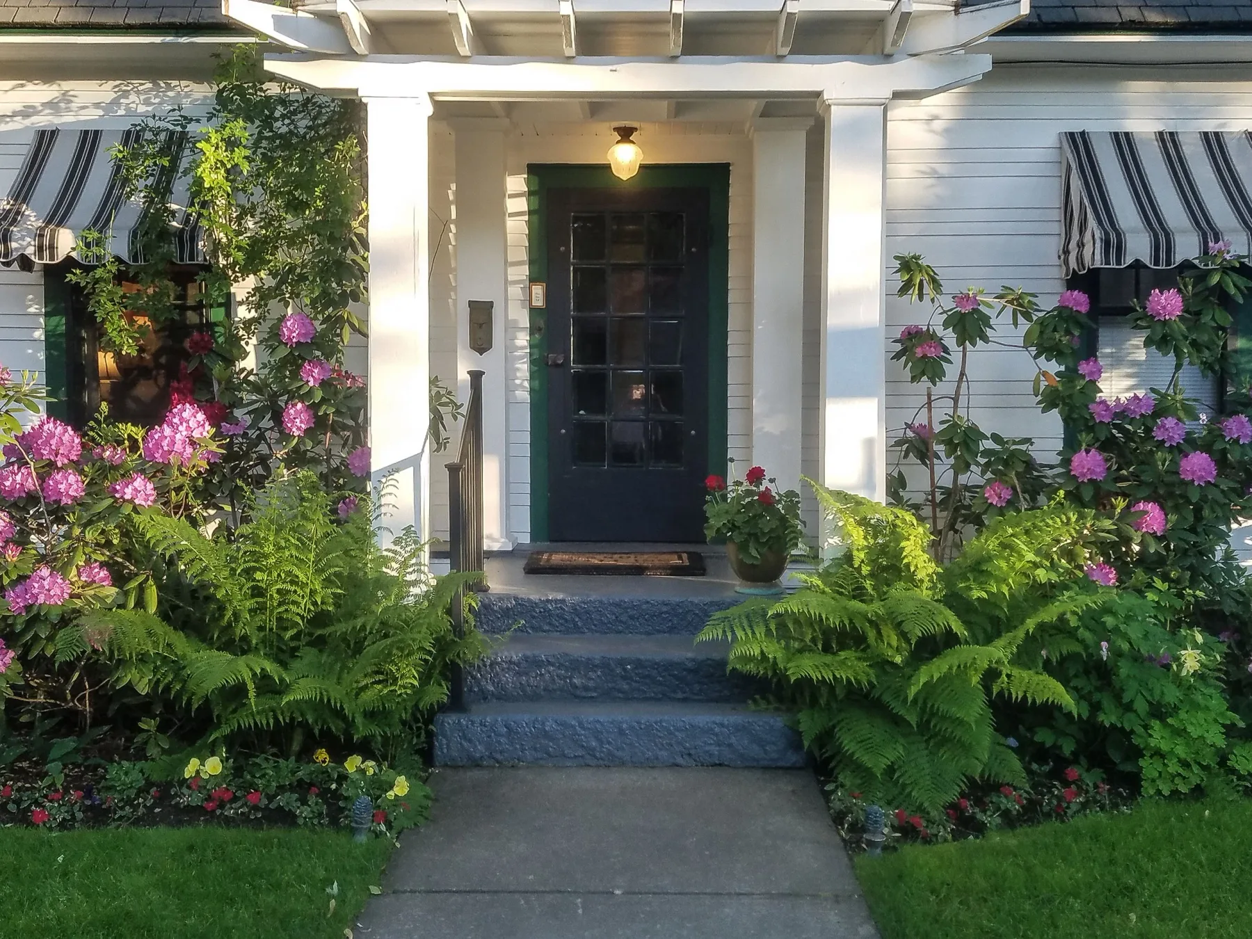 Guest entrance and garden
