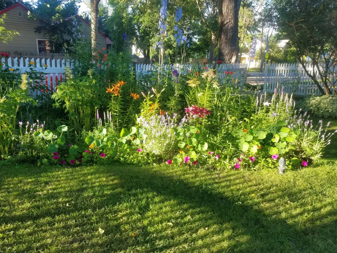Perennial flower garden
