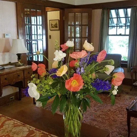 Fresh flowers