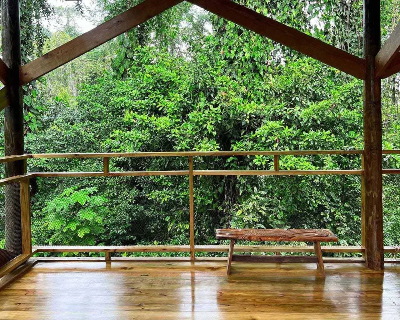 Mono treetop cabana