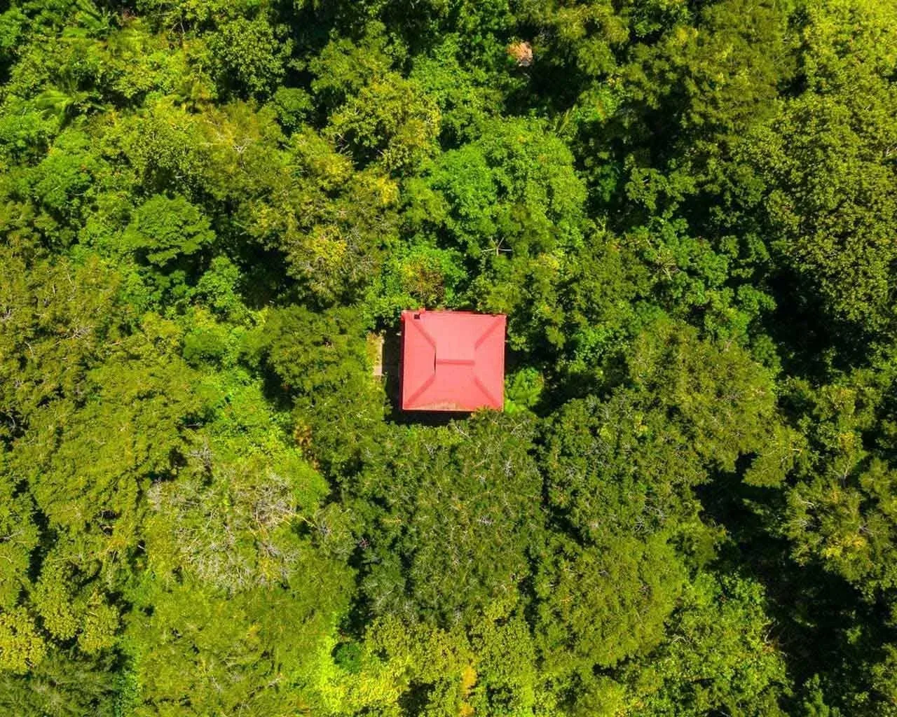 Mono treetop cabana
