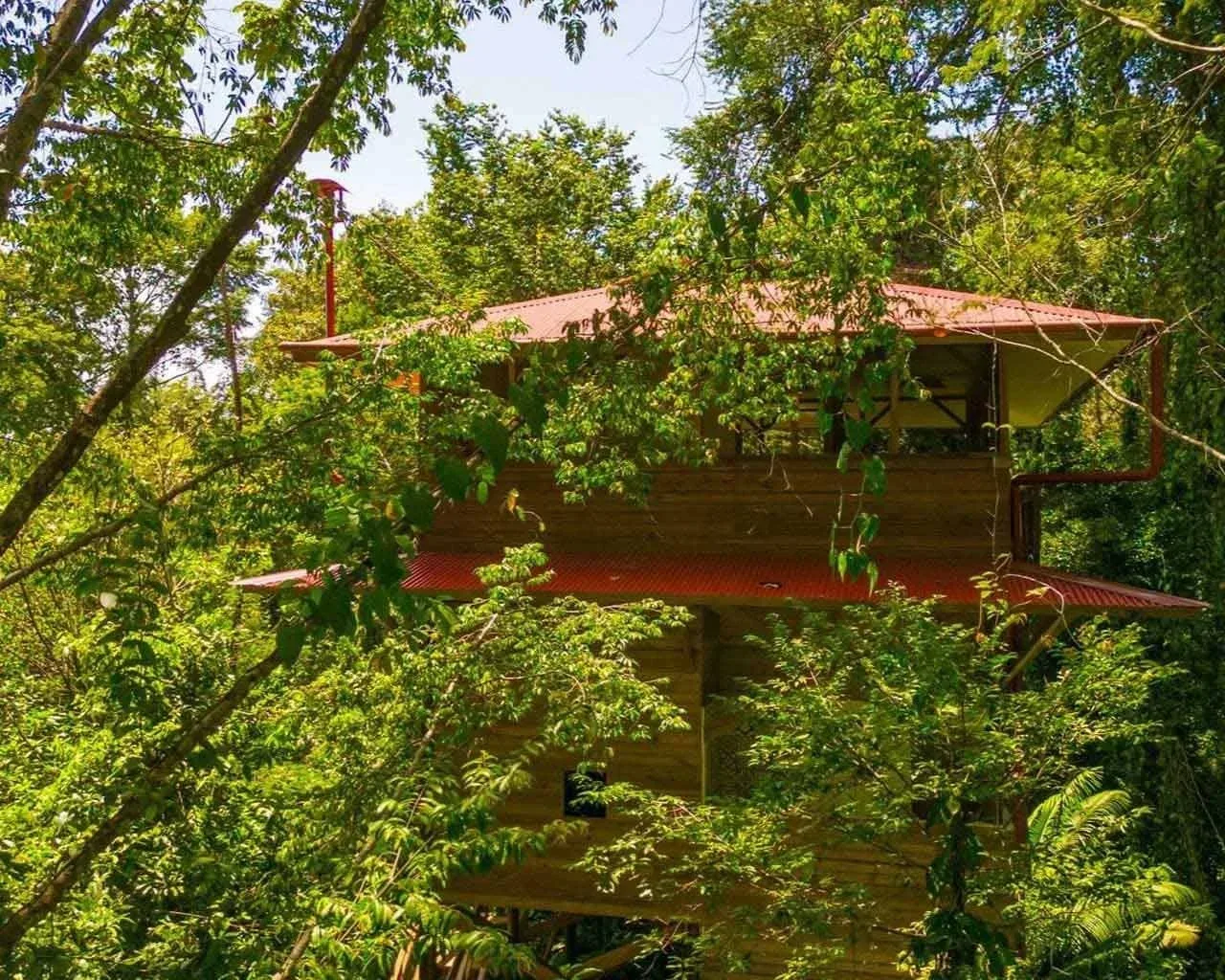 Mono treetop cabana