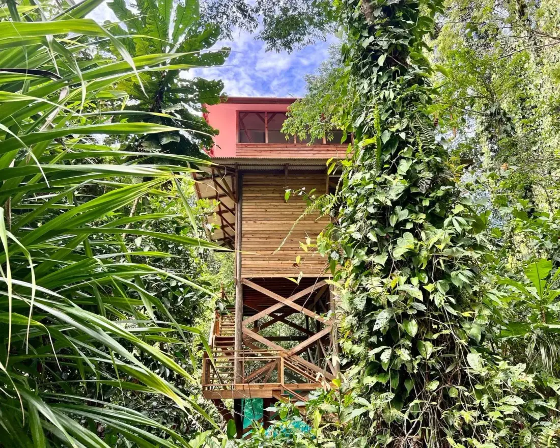 Mono panoramic treetop cabana
