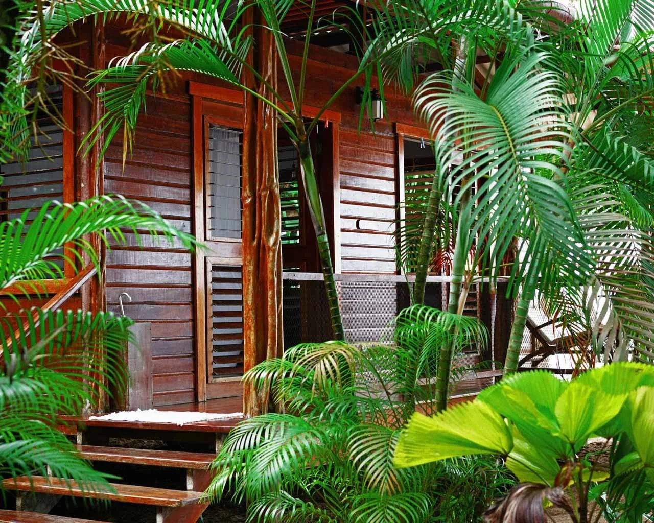 Tortuga beachfront bungalow