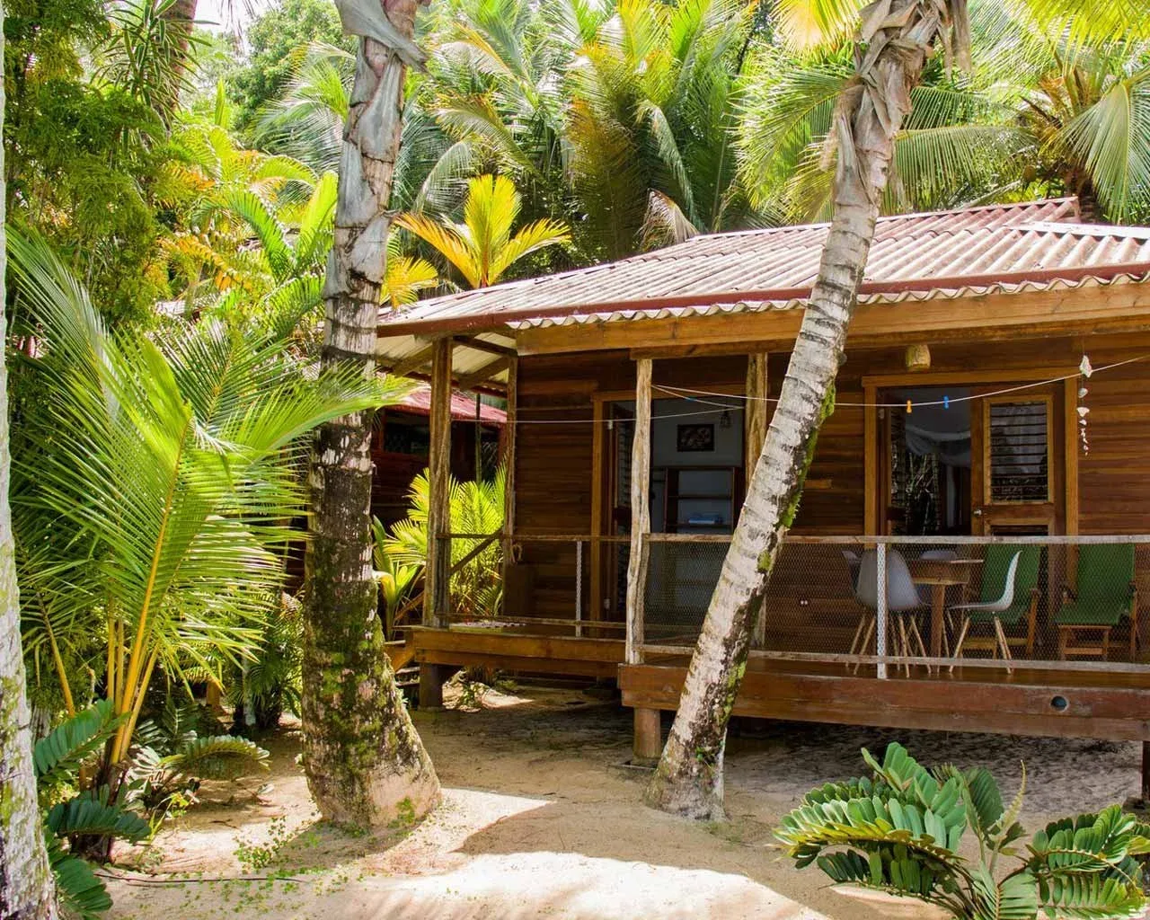 Tortuga beachfront bungalow