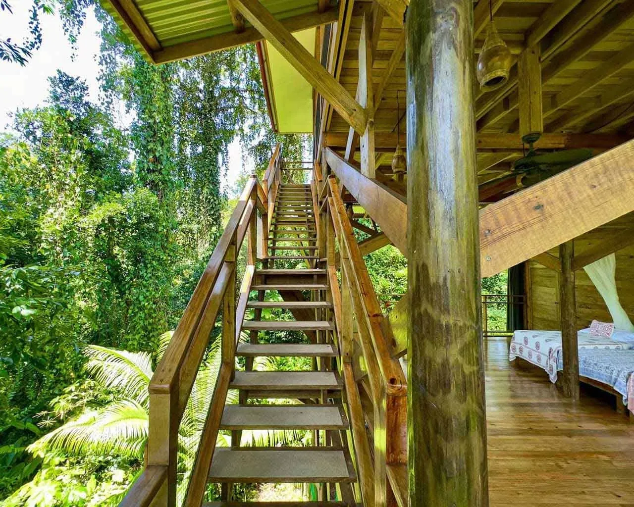 Mono treetop cabana