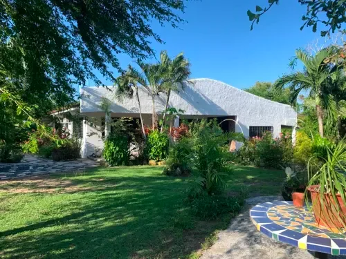 Bungaló blanco de estilo moderno con palmeras y un exuberante jardín en El Litoral Wellness Retreat, Panamá
