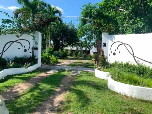 Entrada con exuberante jardín tropical en El Litoral Wellness Retreat, con paredes blancas, palmeras y esculturas artísticas.