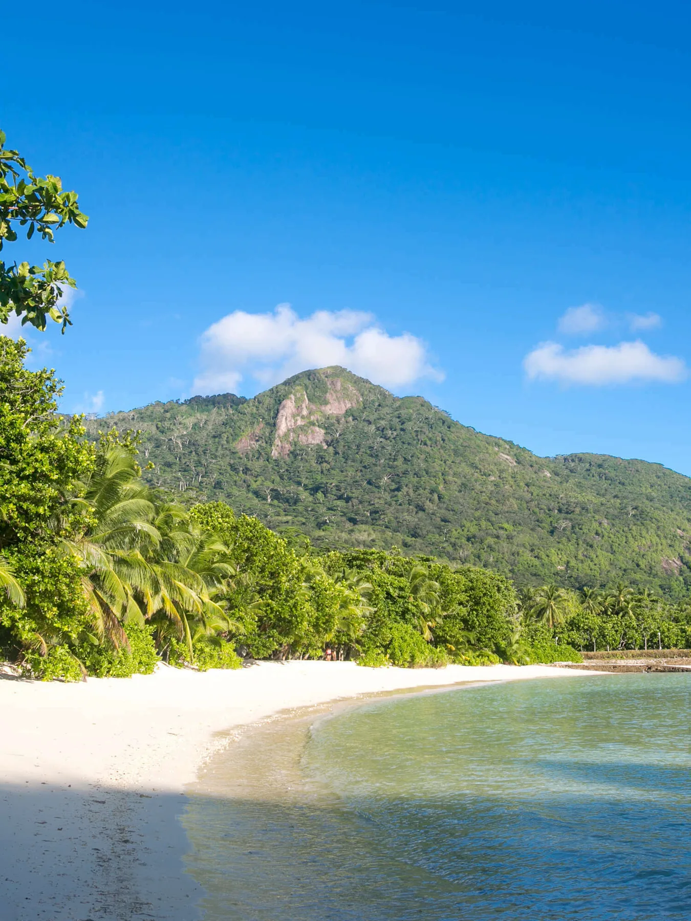La Belle Tortue lodge