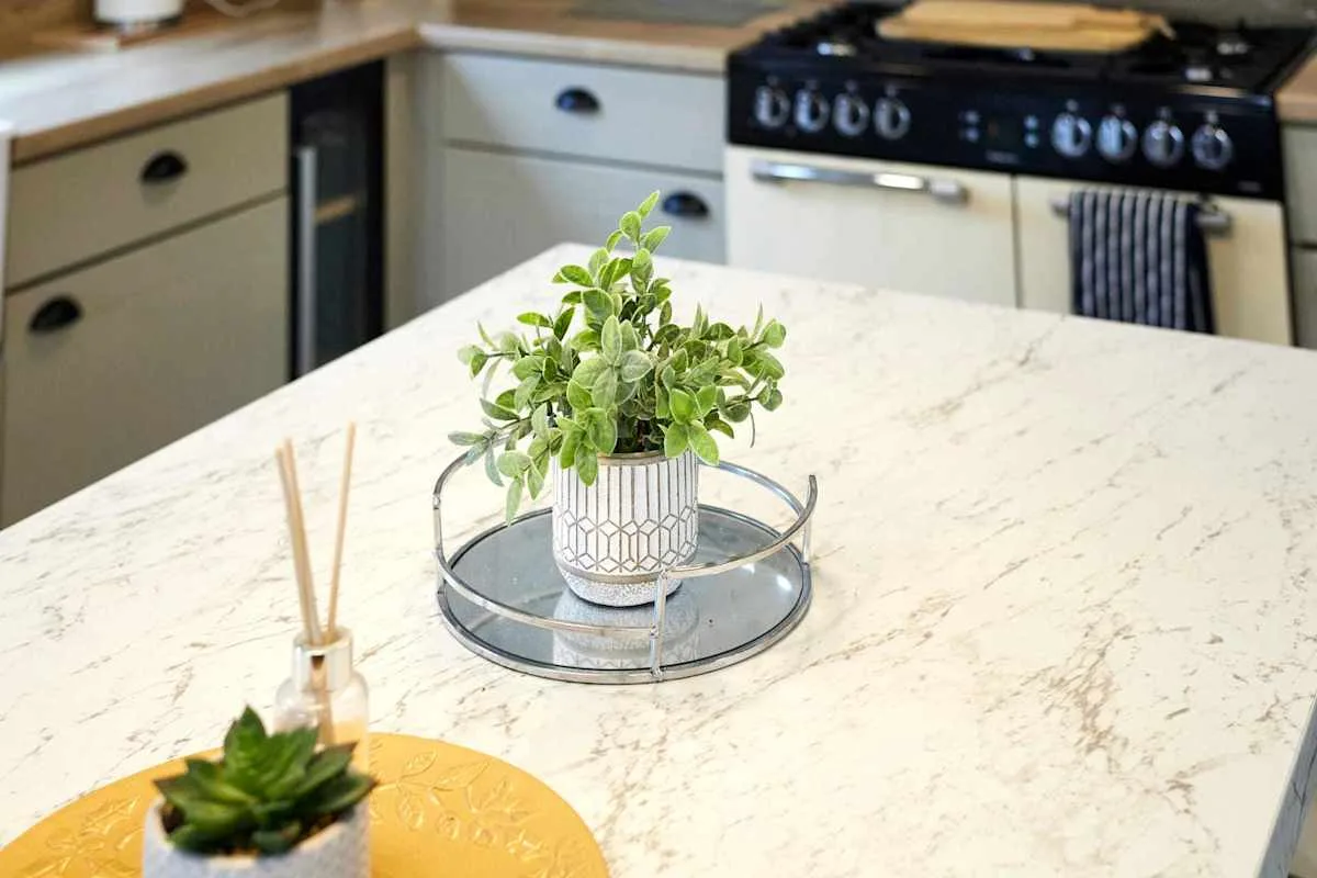 Una cocina con una planta frondosa y un difusor sobre la encimera.