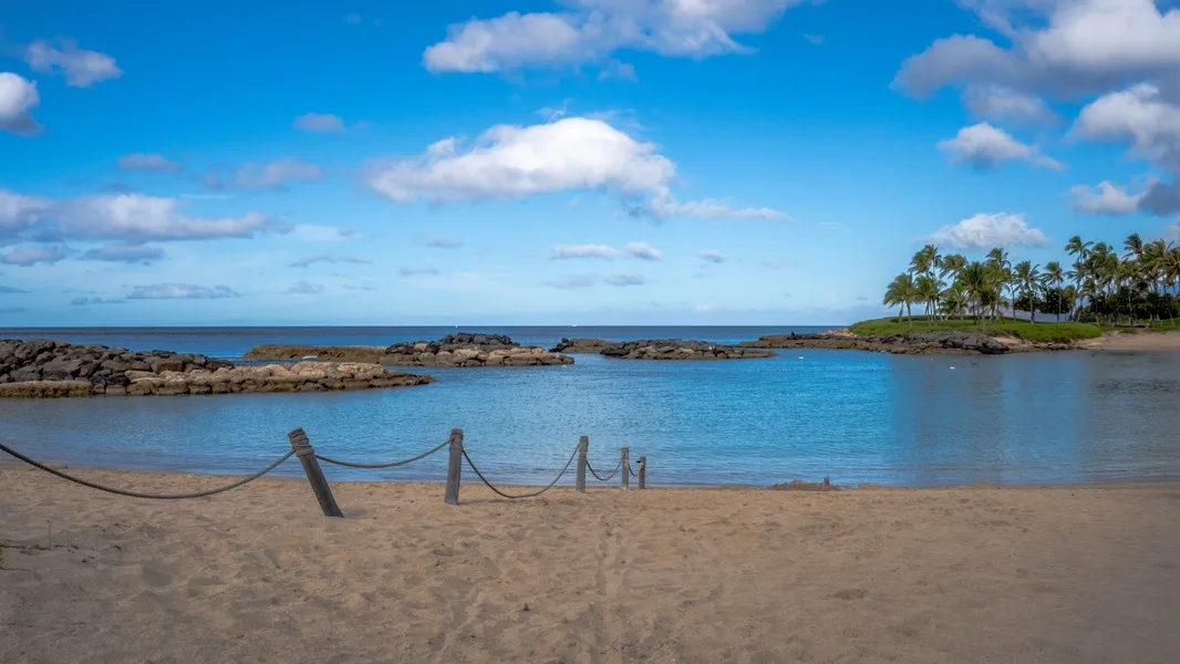 Una playa de arena bordea aguas tranquilas y azules, con palmeras junto a la orilla.