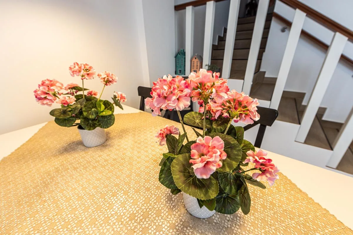 Zona de comedor