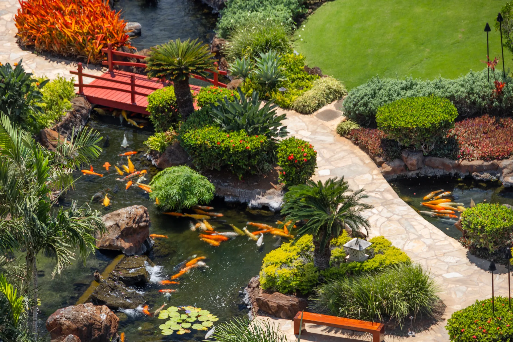 Un jardín paisajístico con un sendero de piedra, un puente rojo y estanques con koi.