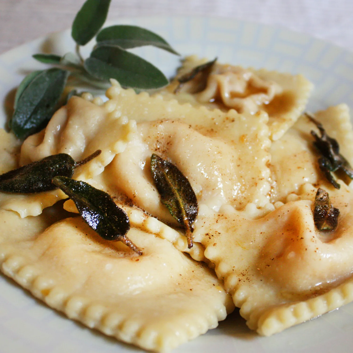 Homemade ravioli with sage