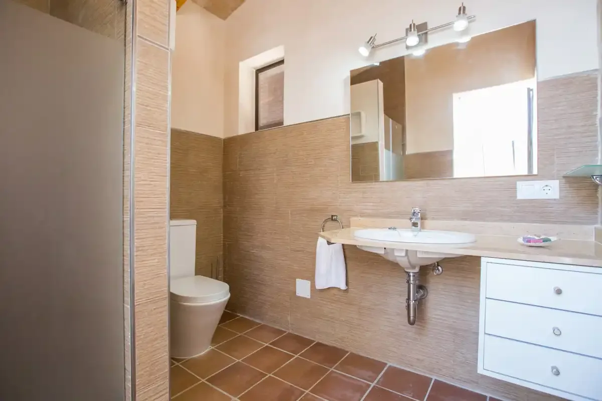A bathroom with a sink, mirror, and toilet.