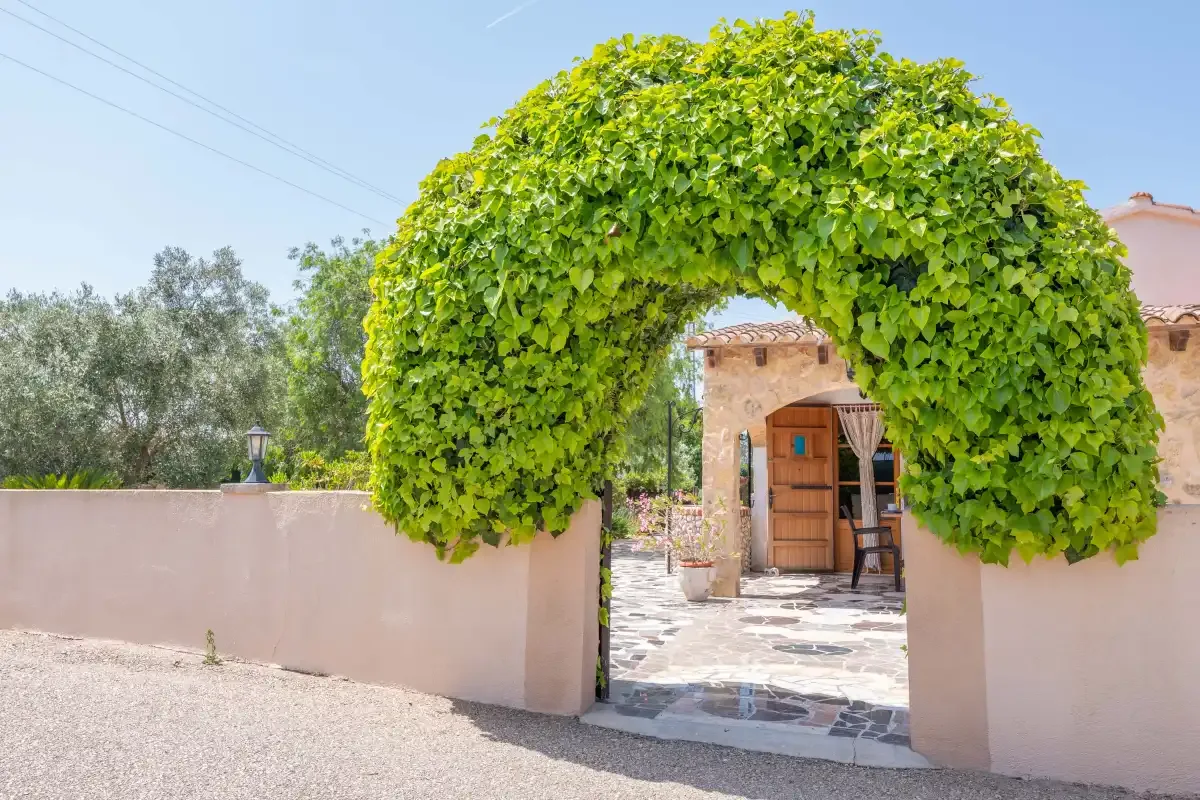 A leafy garden arch frames a stone path leading to a wooden entrance door.