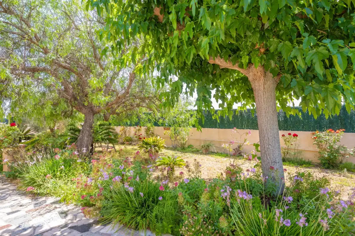 A garden path winds through flowering plants beneath leafy trees.