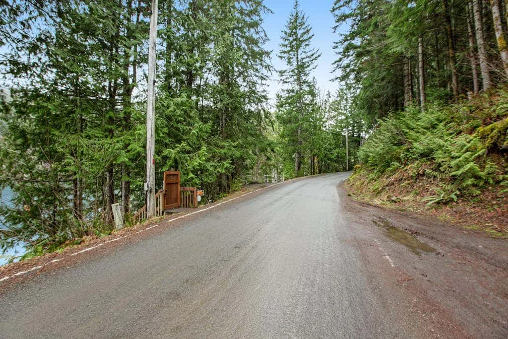 A paved road curves through a forest of tall evergreen trees.