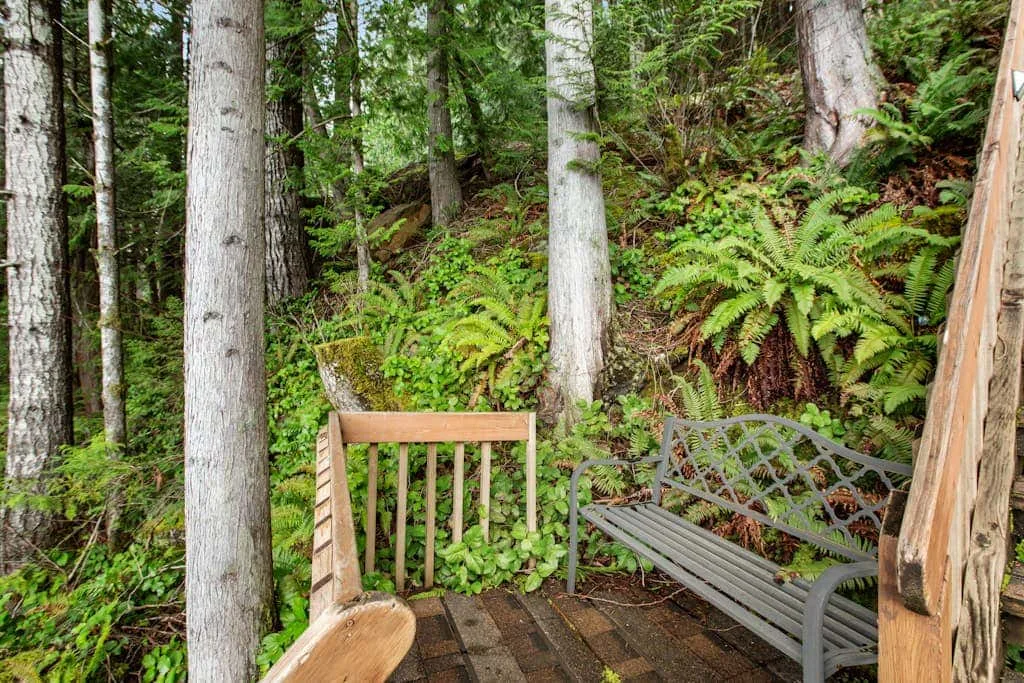A wooded outdoor seating area with a wooden chair and metal bench among ferns.