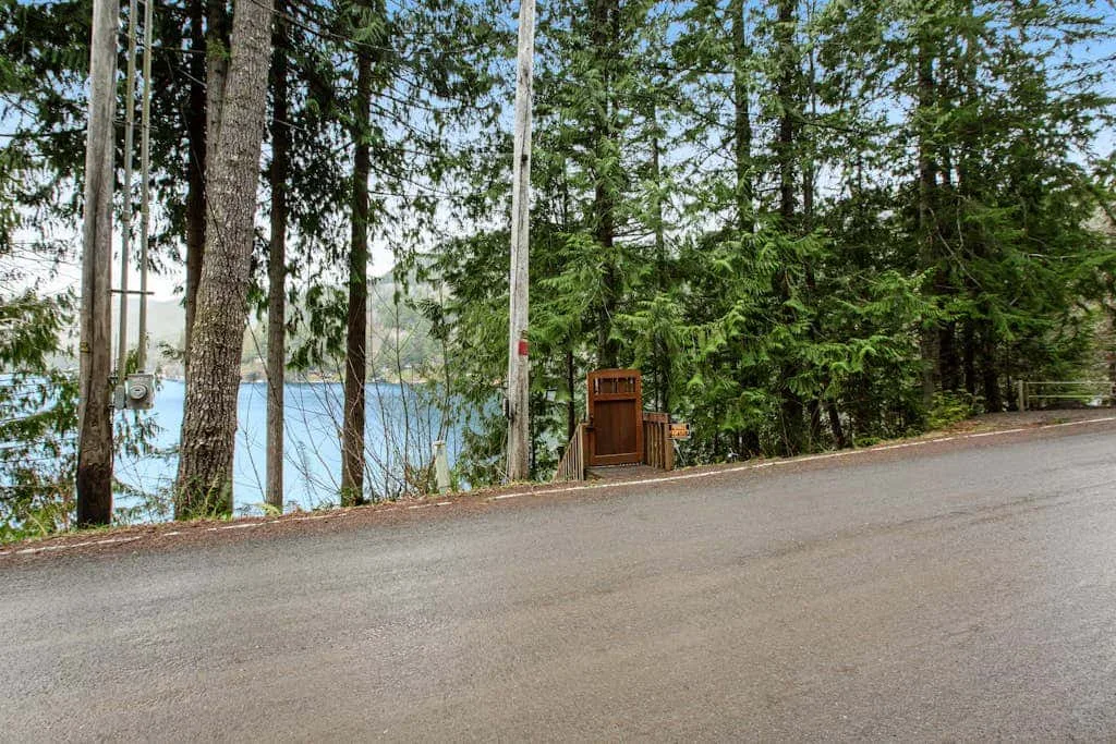 A paved road runs beside trees, with water visible through the branches.
