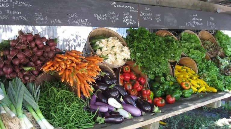 Un puesto de frutas y verduras exhibe una variedad de productos frescos sobre un mostrador.