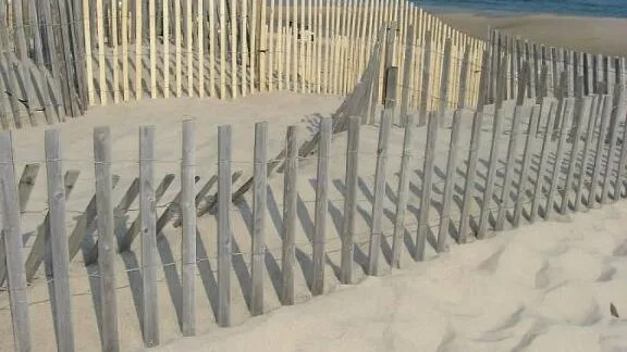 Una playa de arena con cercas de madera junto a las dunas.