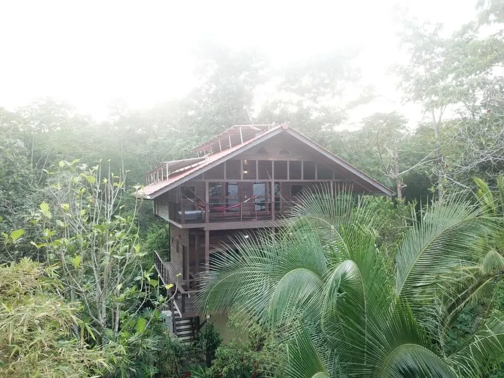 The Oasis Villa surrounded by palms and rainforest