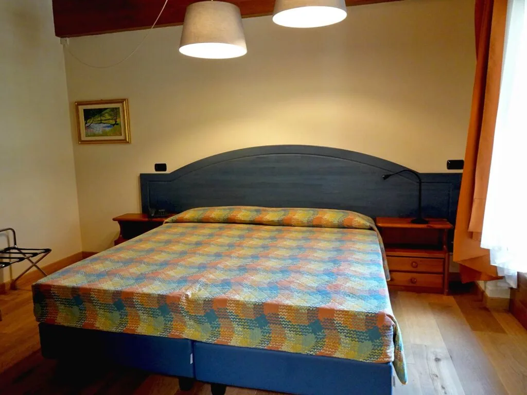 Single Deluxe guest room