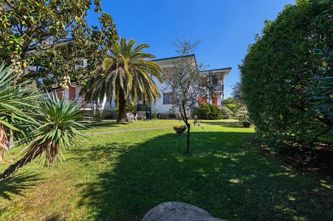 Jardín con césped, una palmera y un edificio al fondo.