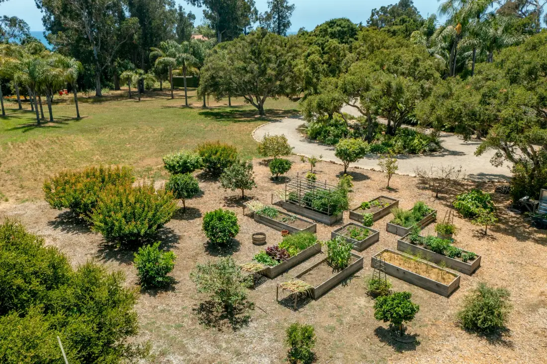 A landscaped garden with raised planting beds and surrounding trees.