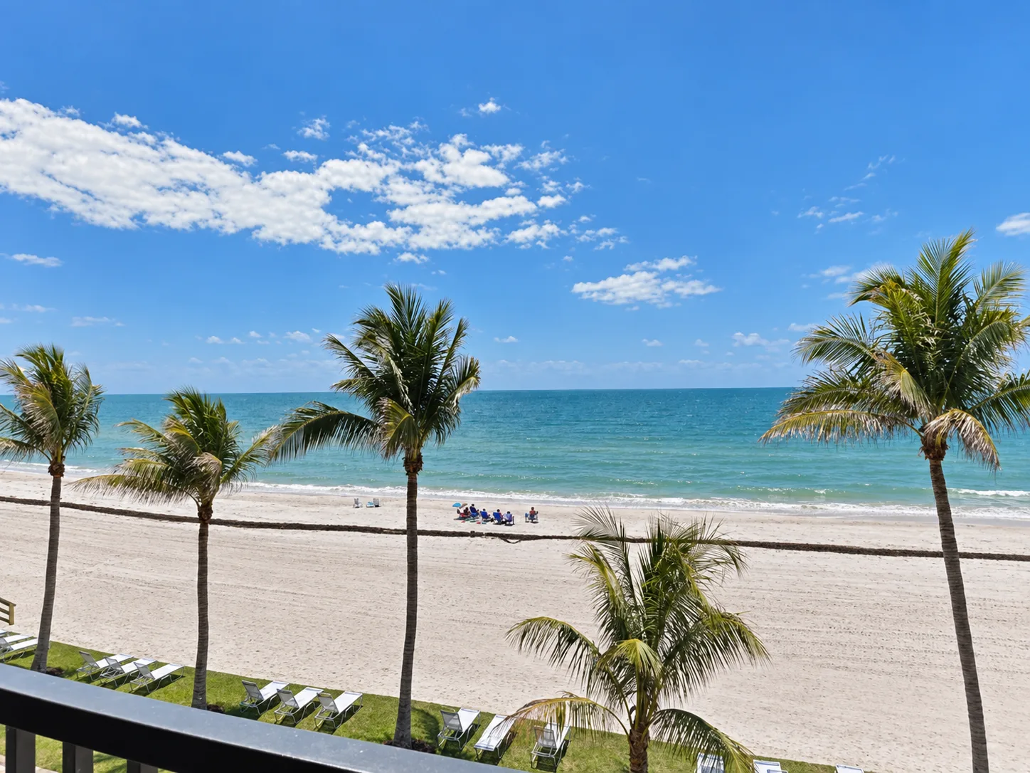 A palm-lined beach stretches along the ocean beneath a bright blue sky.