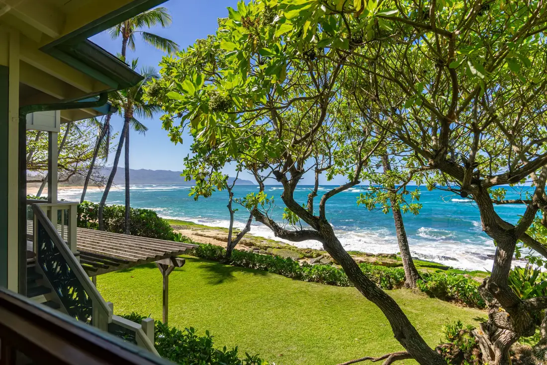 Un jardín costero con césped y árboles frondosos da a una playa de arena y al océano.