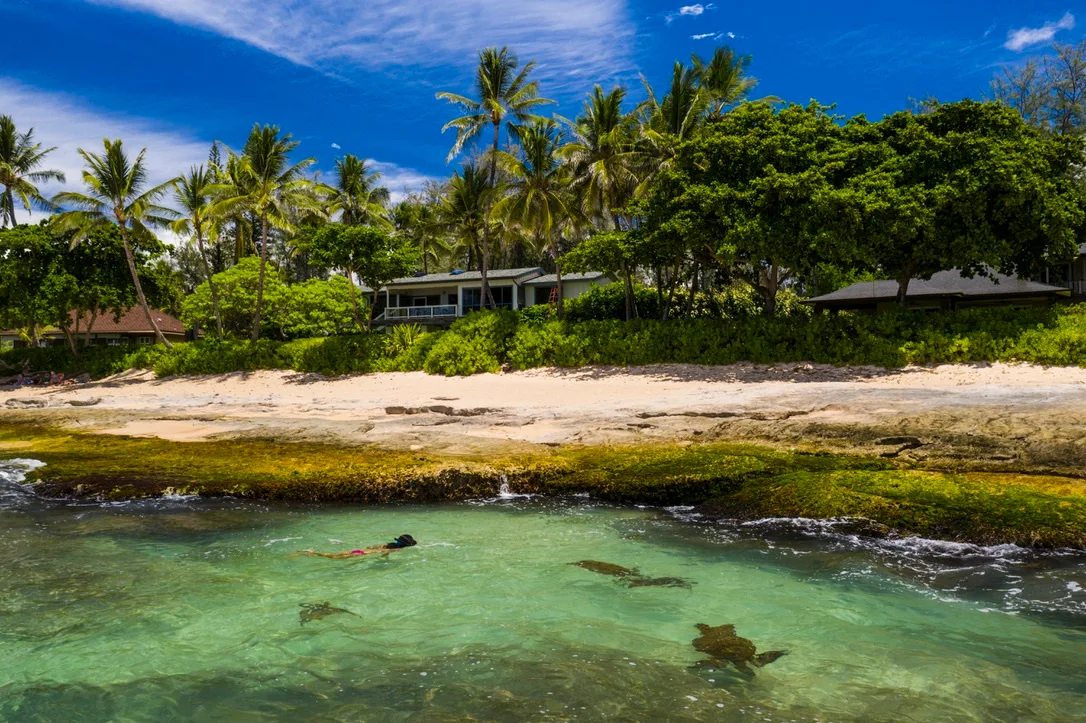 A tropical beach with clear water, sandy shore, and palm trees.