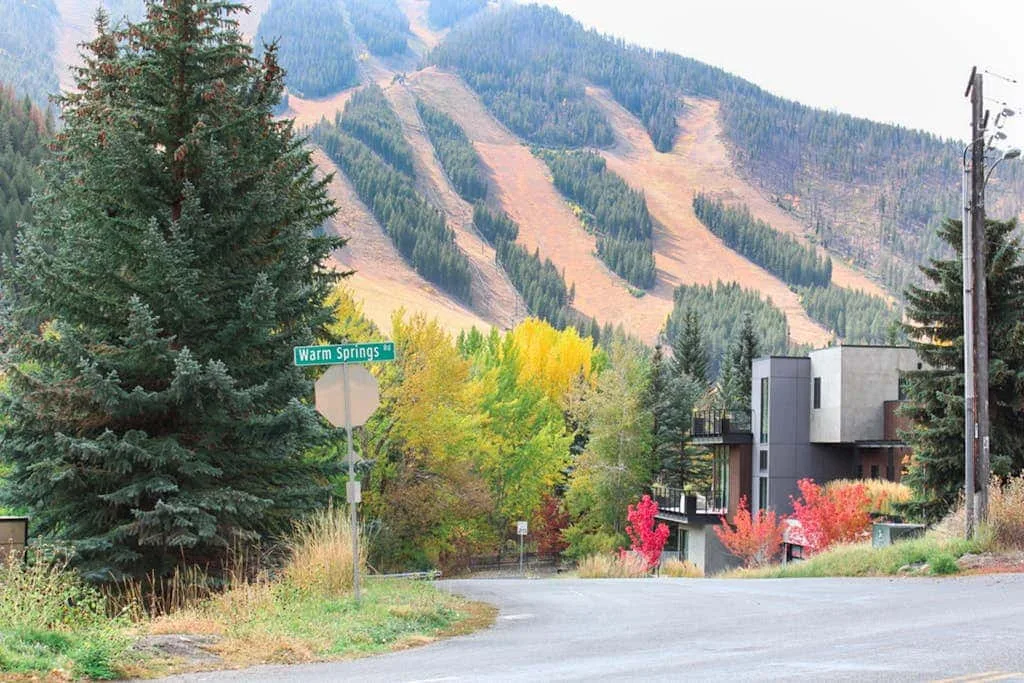 A mountain road passes a modern building among evergreen and autumn trees.