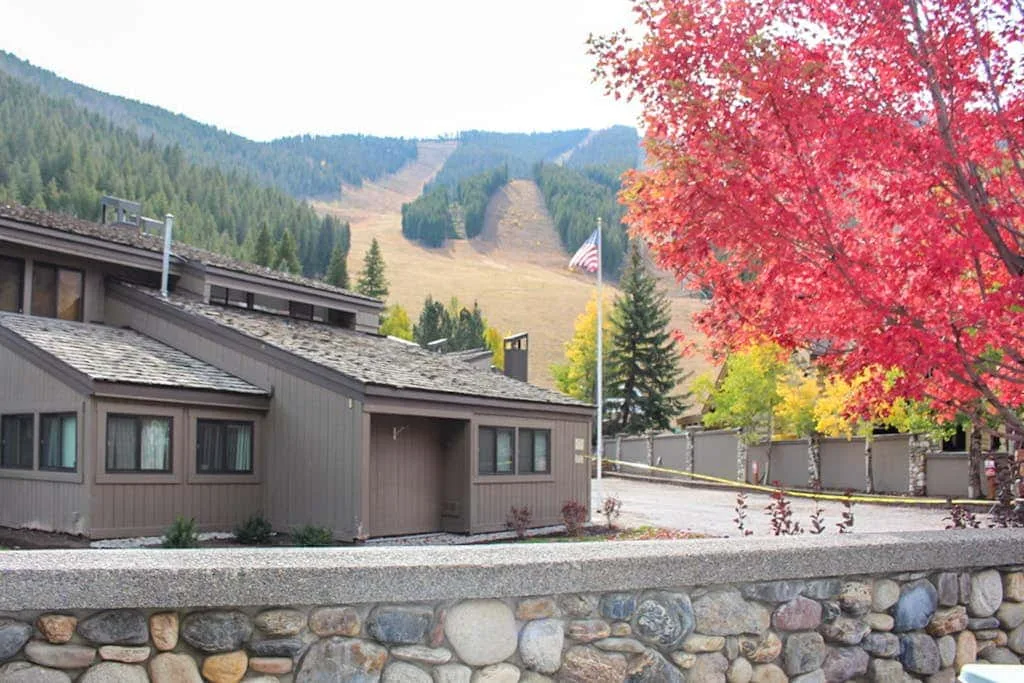 A low-rise building sits below forested hills beside a tree with red autumn leaves.