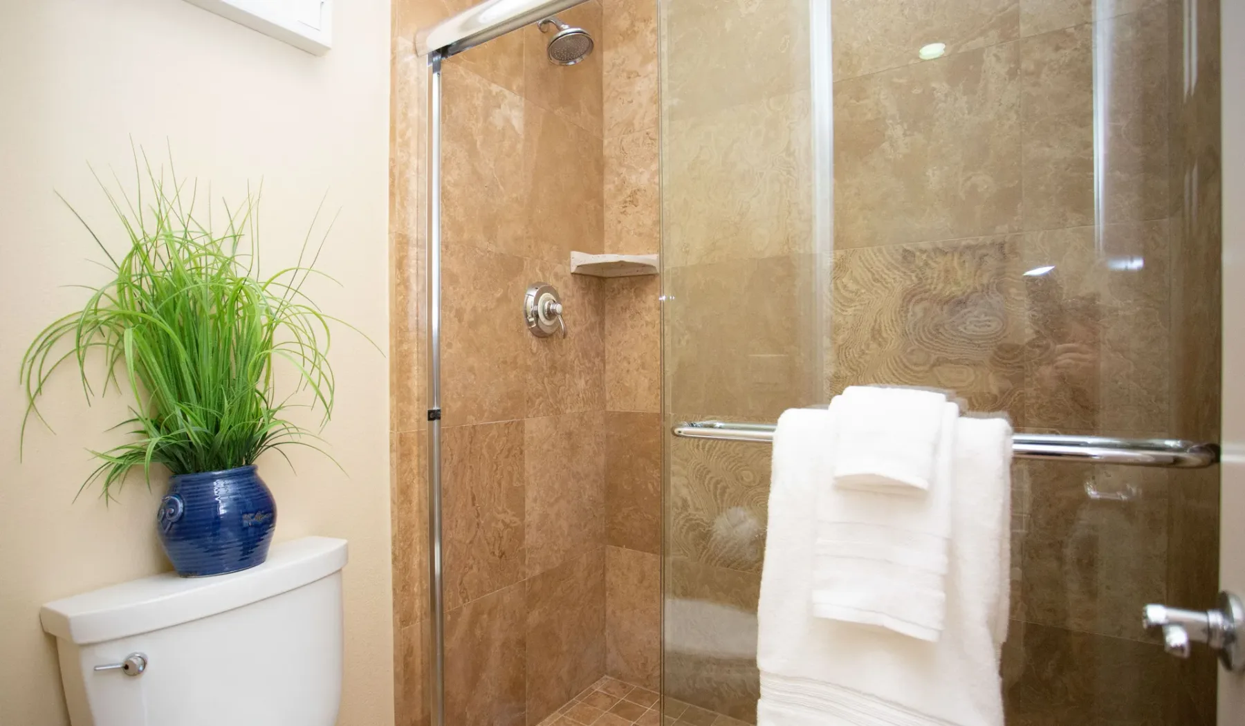 Un baño con una ducha de vidrio y una planta junto al inodoro.