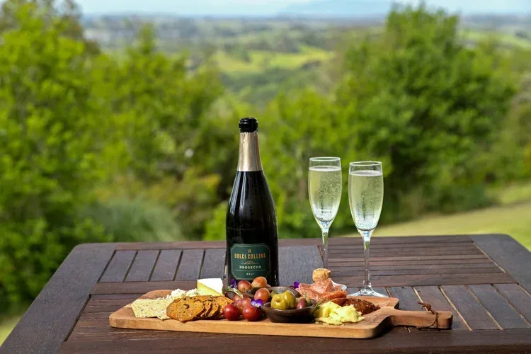 Wine and grazing platter overlooking the Matakana countryside.