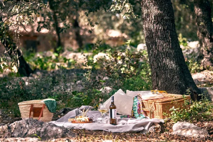 Picnic setting at Son Sabater by Zafiro