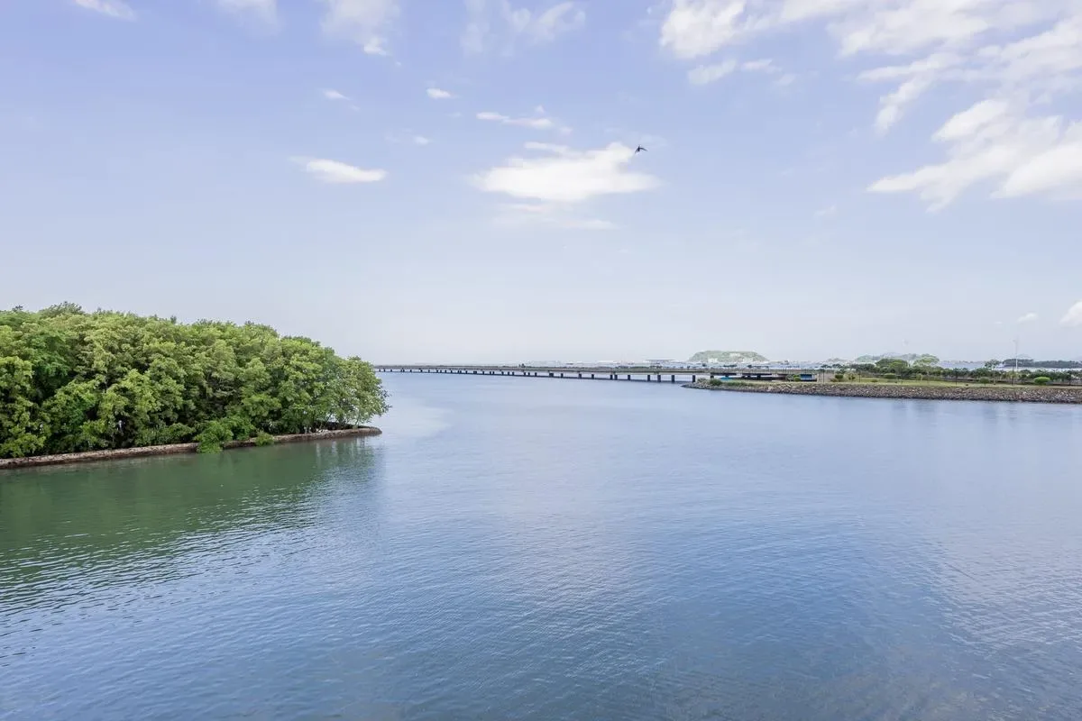 Roomy 1BR in Casco Antiguo w/ Balcony