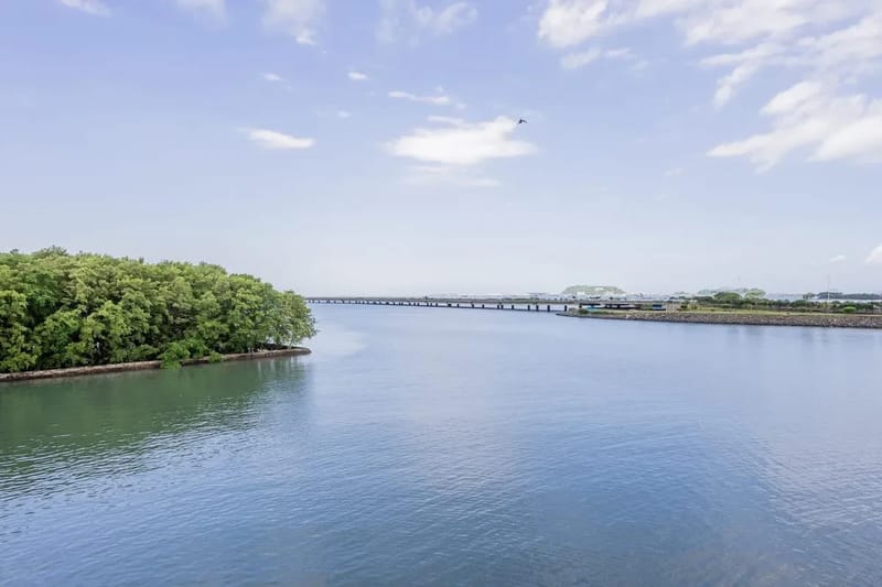 Roomy 1BR in Casco Antiguo w/ Balcony