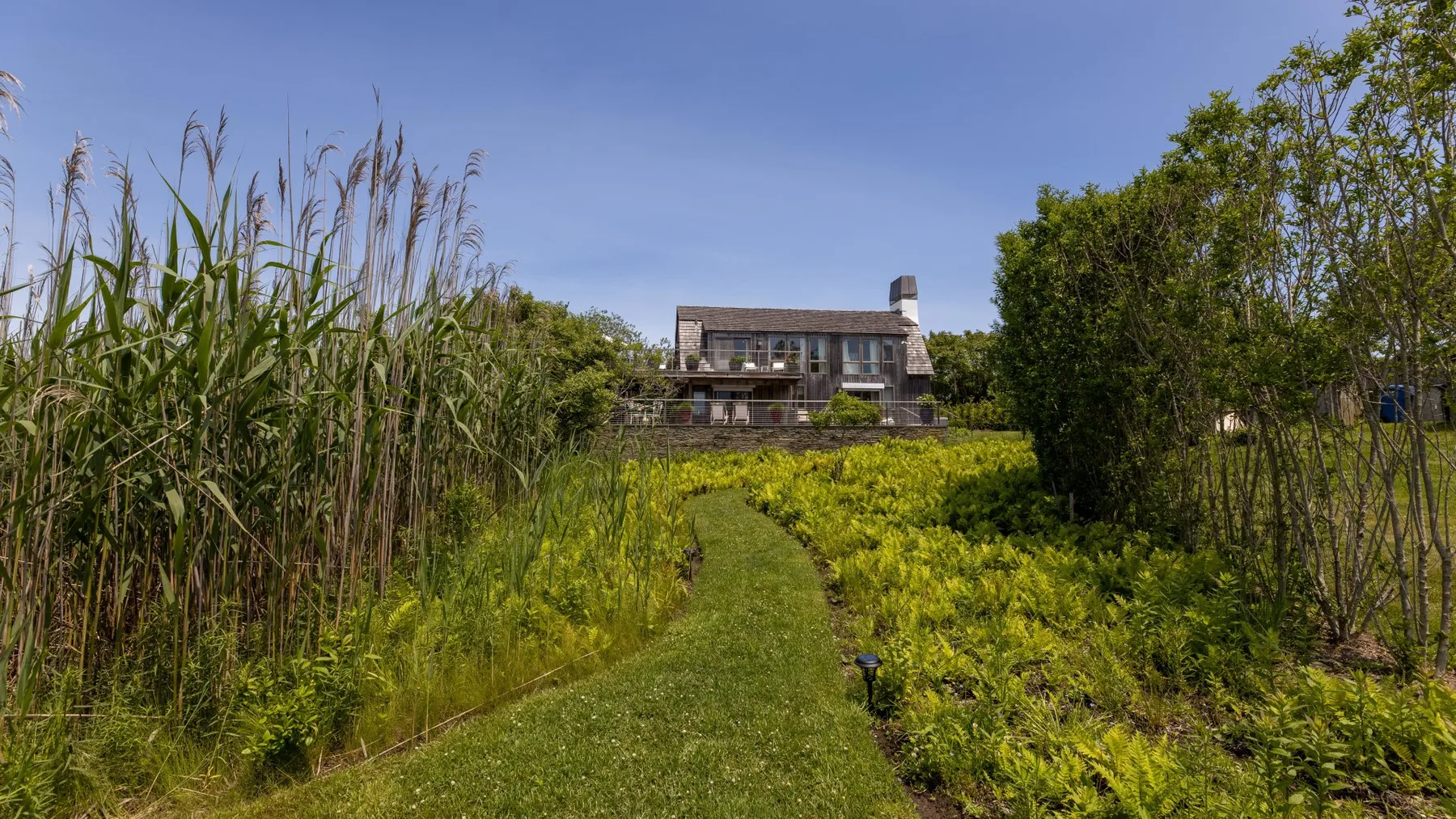 A grassy path winds through garden plants toward a house.