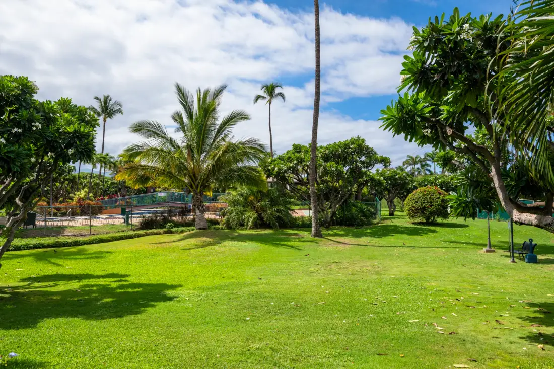 A grassy garden with palm trees and leafy plants under a partly cloudy sky.